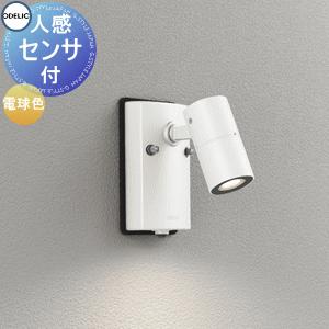 エクステリア 屋外 照明 ライト オーデリックODELIC スポットライト