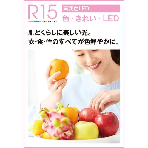 照明 おしゃれ オーデリック ODELIC ペンダントライト