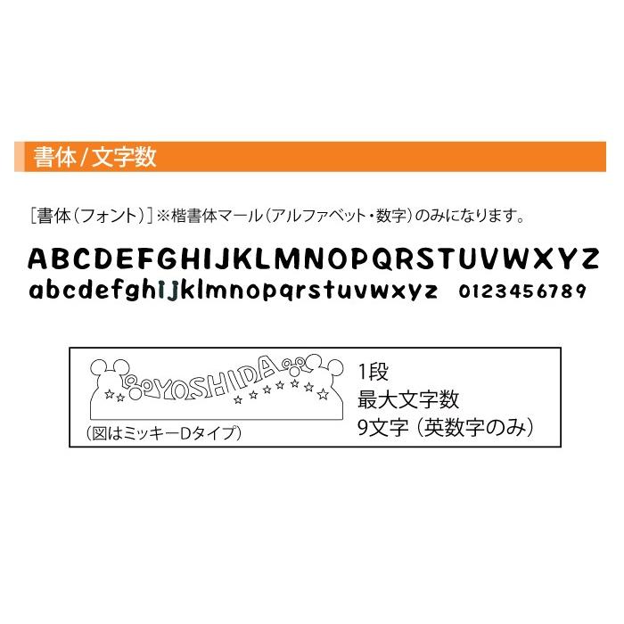 在庫一掃 サイン ディズニー ディズニーシリーズ フレーム サイン 表札 ミッキー Lixi ナチュラルシルバーf Bタイプ シルエットサイン ポスト 郵便受け 最大文字数 9文字 英数字のみ Www Oroagri Eu