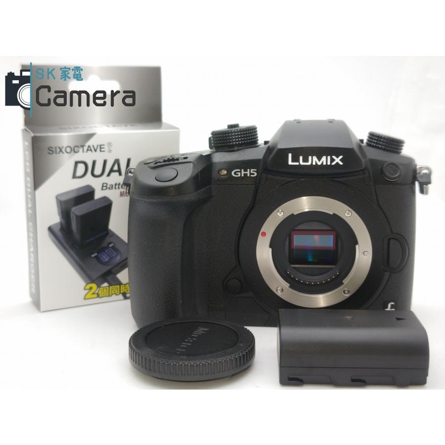 LUMIX Panasonic RD-SPM049 デジタル一眼レフ 品 【公式通販】