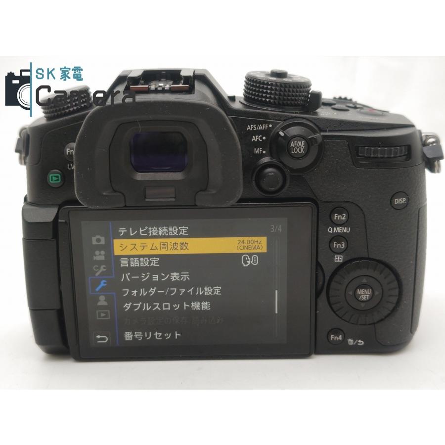Panasonic LUMIX RD-SPM049 パナソニック ルミックス 互換性電池・充電 