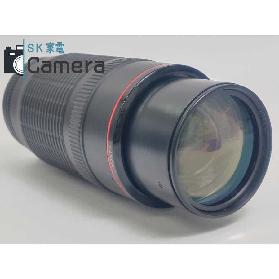 Canon - 【中古】 Canon EF 100-300ｍｍ F5.6 L キャノン フード付 中古】 Canon EF 100-300mm F5.6 L キャノン フード付 : SK
