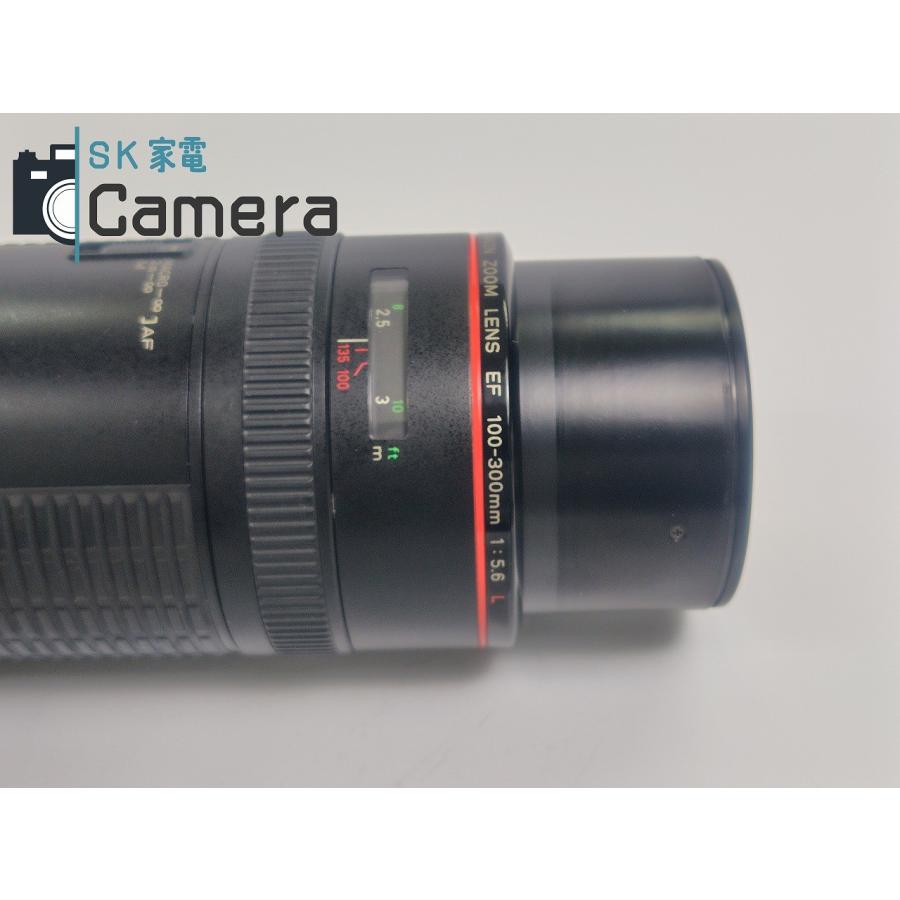 Canon - 【中古】 Canon EF 100-300ｍｍ F5.6 L キャノン フード付 中古】 Canon EF 100-300mm F5.6 L キャノン フード付 : SK