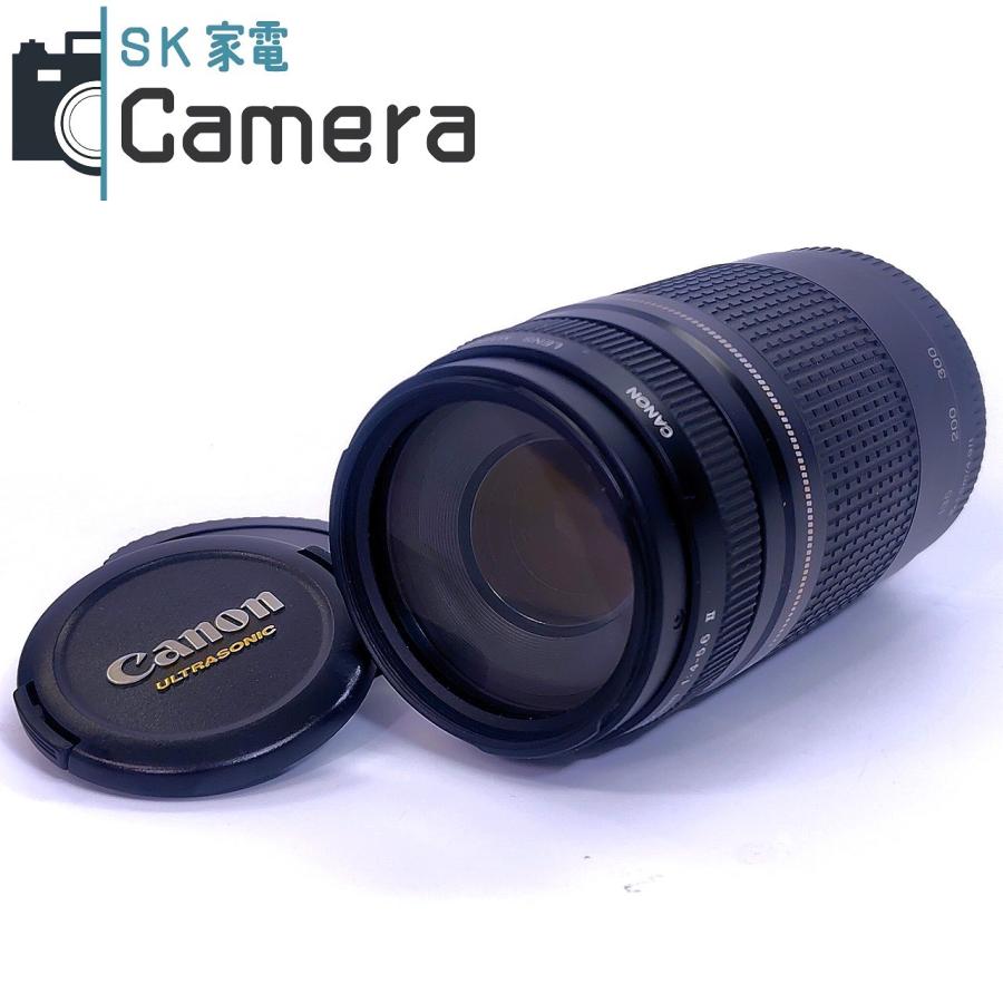 Canon EF 75-300mm F4-5.6 II USM キャノン キャップ付 (15) : SK