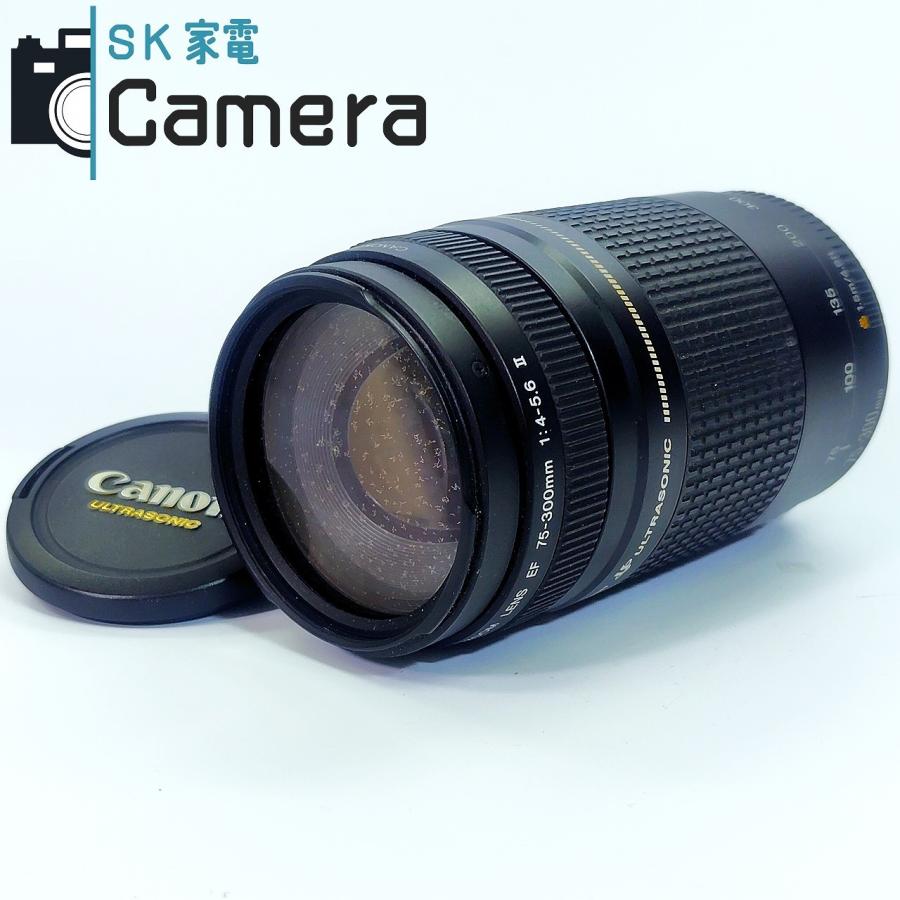 Canon EF 75-300mm F4-5.6 II USM キャノン キャップ付 : SK家電