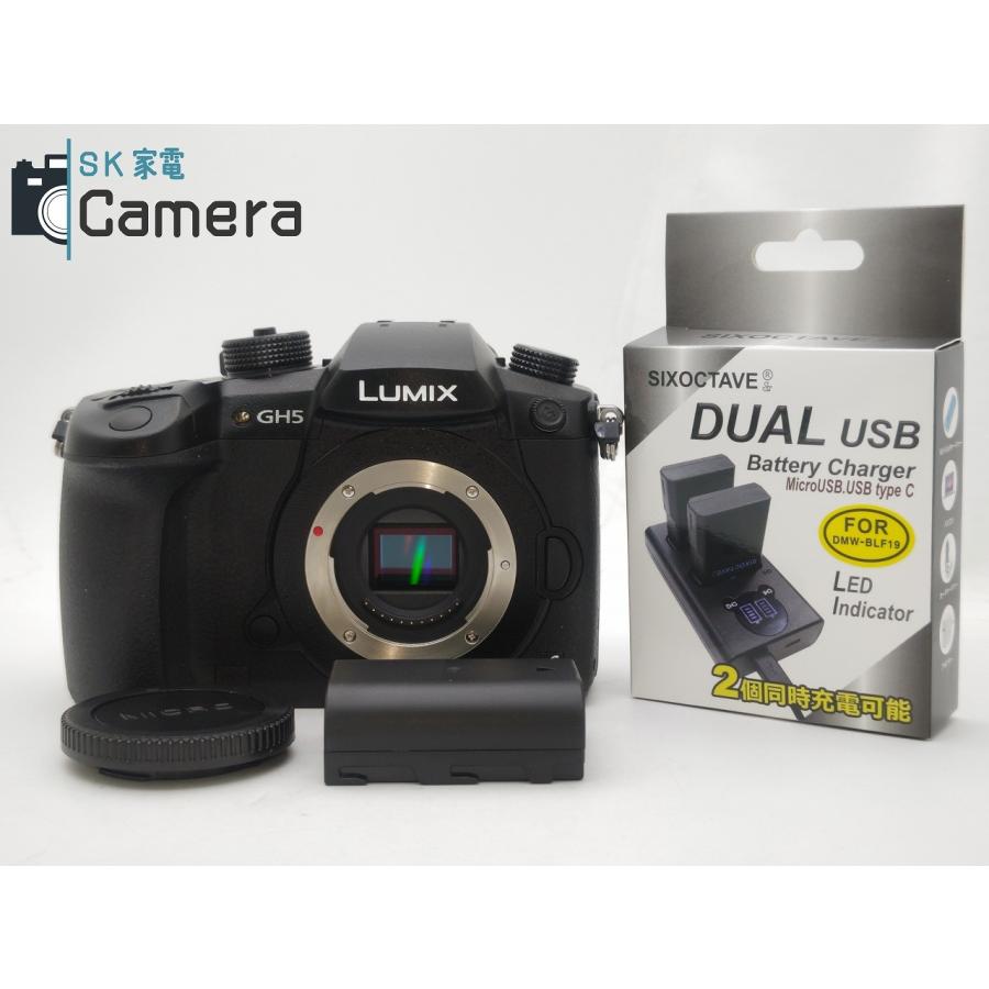 Panasonic LUMIX RD-SPM049 パナソニック ルミックス 互換性電池