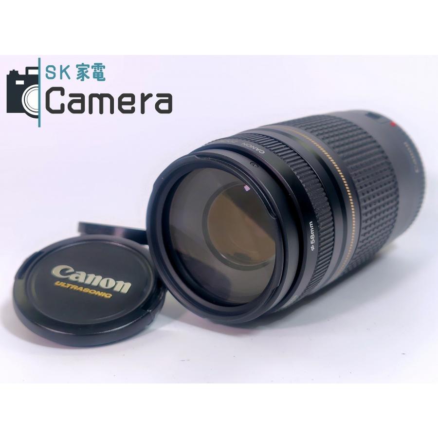 外観美品 Canon EF 75-300㎜ F4-5.6 II USM Amazon | Canon キヤノン ズームレンズ EF 75-300mm F4-5.6 Ⅱ