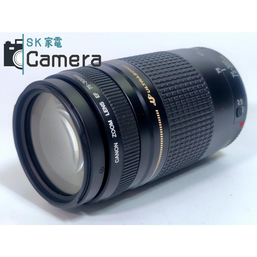 外観美品 Canon EF 75-300㎜ F4-5.6 II USM Canon EF 75-300 mm 1:4-5.6 II Ultrasonic Zoom Lens | eBay