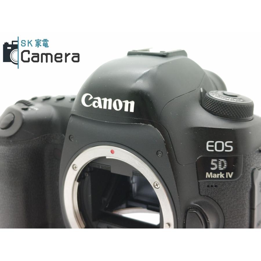 Canon EOS 5D Mark IV 電池 互換製充電器 ストラップ 付 マーク4 Canon EOS 5D Mark IV 電池 互換製充電器 ストラップ 付 マーク4