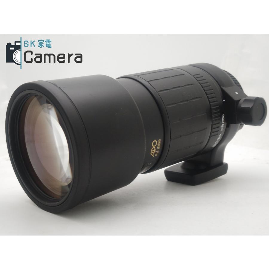 Nikon - 実用 SIGMA APO TELE MACRO 300ｍｍ F4 D ニコン用 シグマ キャップ付 実用 SIGMA APO TELE MACRO 300mm F4 D ニコン用 シグマ