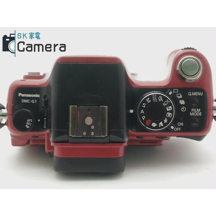 Panasonic LUMIX DMC-G1 電池 充電器 付 パナソニック : SK家電
