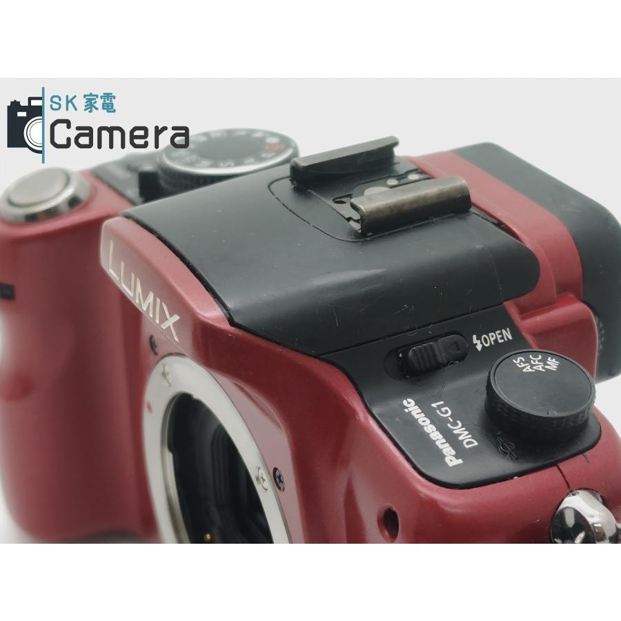 Panasonic LUMIX DMC-G1 電池 充電器 付 パナソニック : SK家電