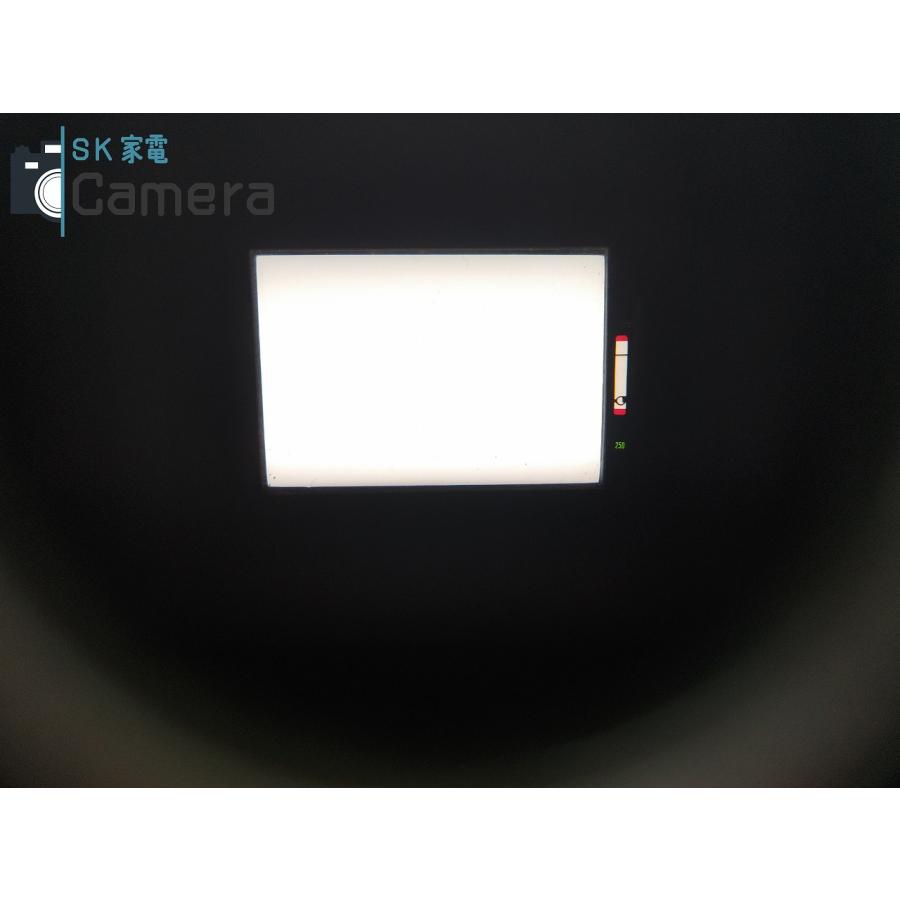 Canon F-1 LAKE PLACID 1980 レイクプラシッド五輪 シャッター Canon F-1 LAKE PLACID 1980 レイクプラシッド五輪 シャッター