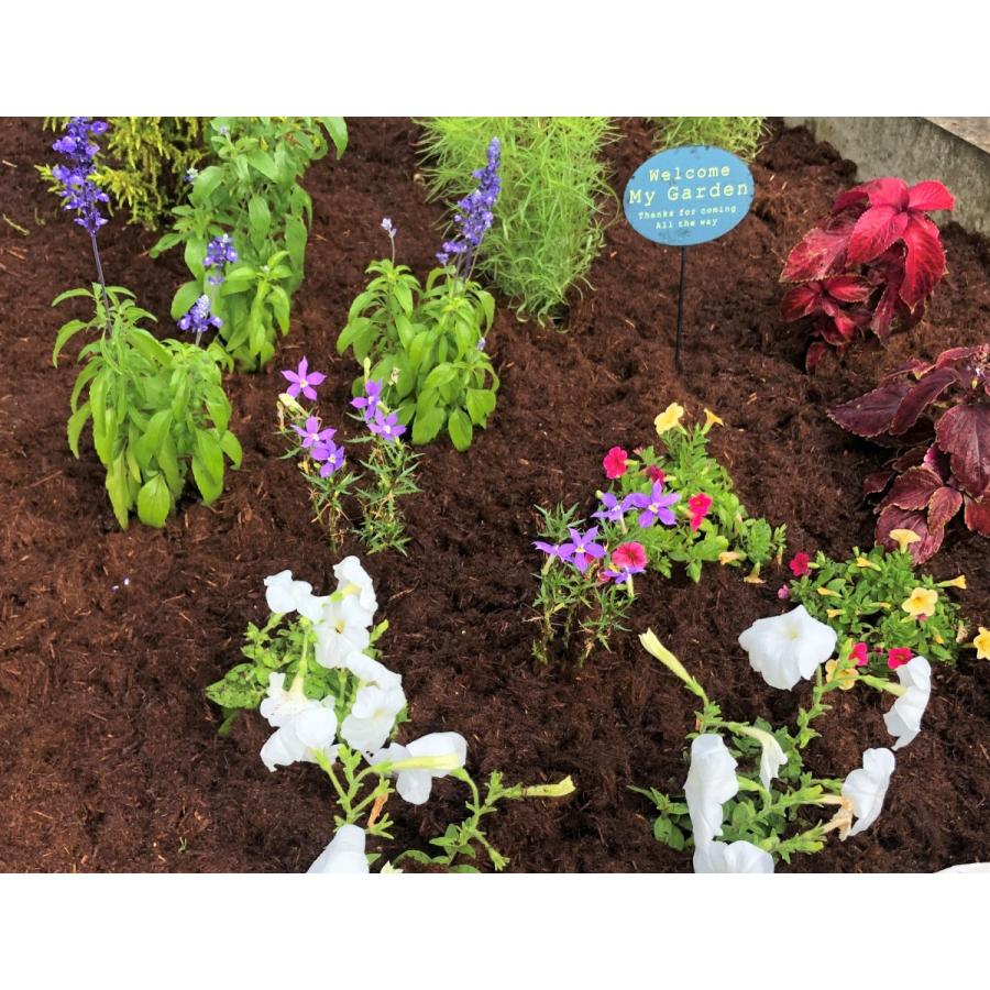 ガーデンモス　デコレーションモス 25L | ブランド登録なし | 02