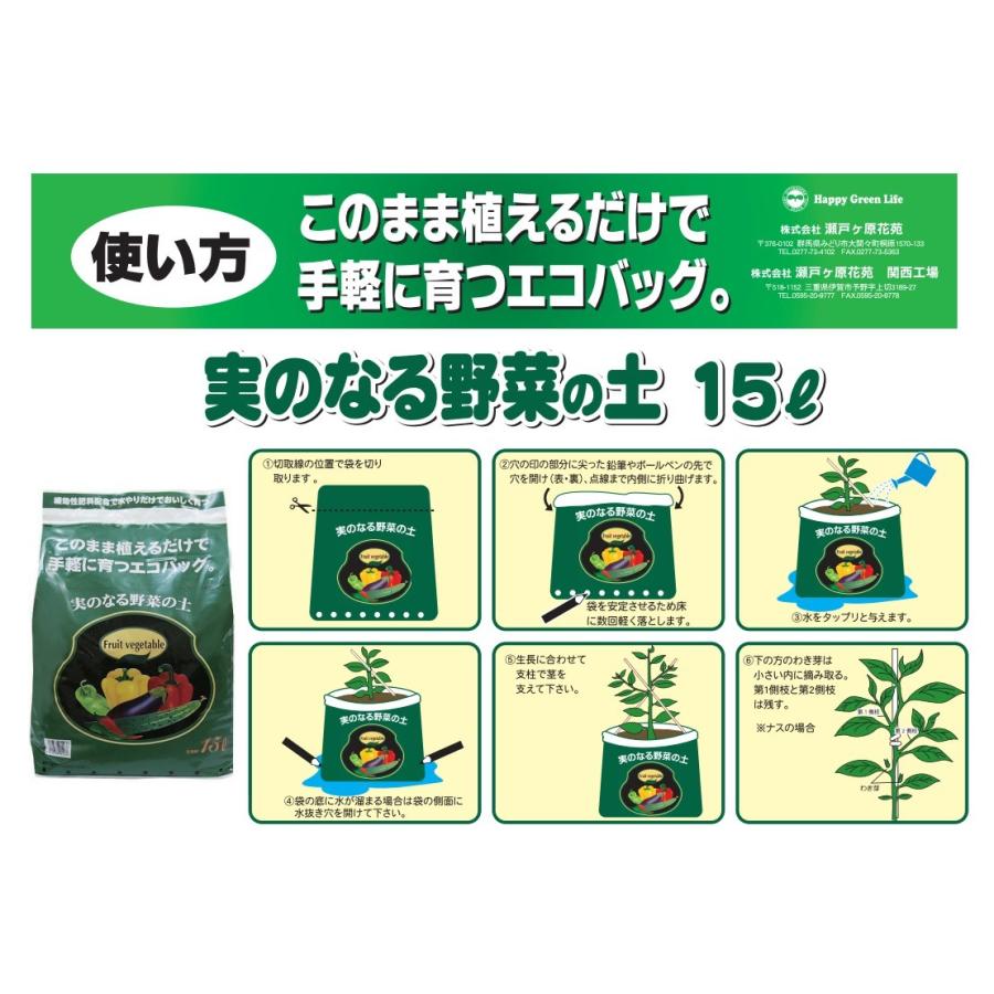 野菜の土 ナス きゅうり 自家栽培 エコバッグ 実のなる野菜の土
