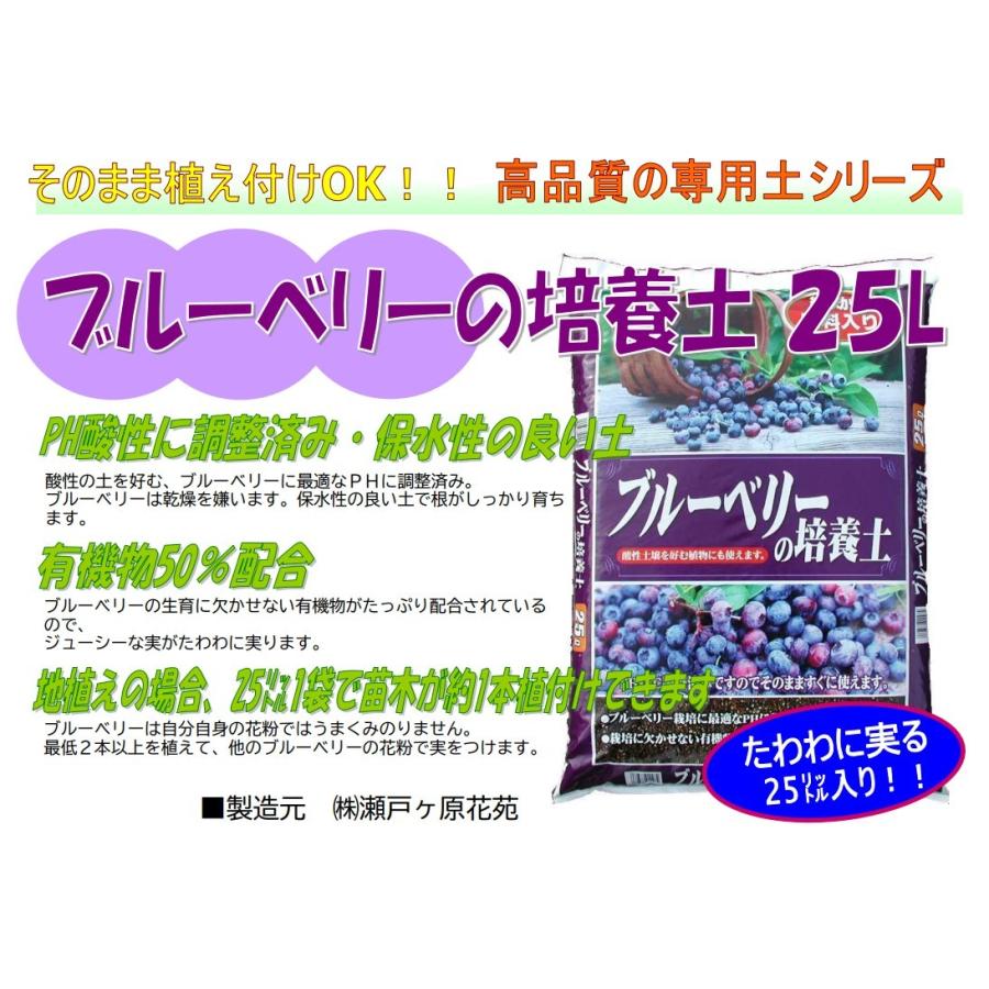ブルーベリー3鉢セット、土25㍑つき