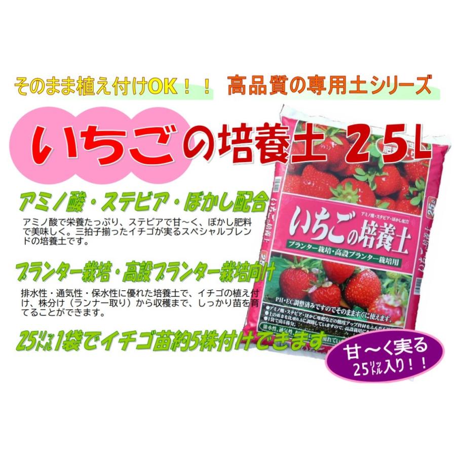 いちご 甘い プランター栽培 いちごの培養土 25l Skショップ ヤフー店 通販 Yahoo ショッピング
