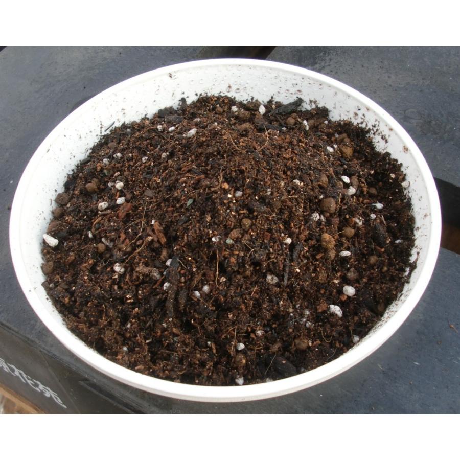 ガーデニング　ケイ山田監修　ガーデニング専用培養土　20L | ブランド登録なし | 03