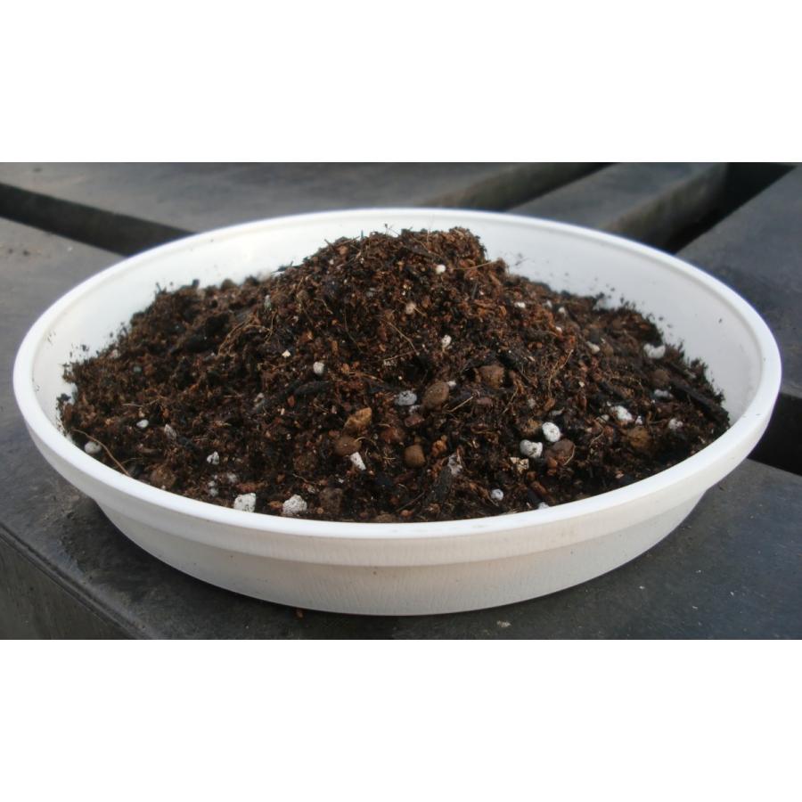 ガーデニング　ケイ山田監修　ガーデニング専用培養土　20L | ブランド登録なし | 04