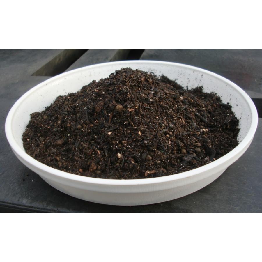 送料無料 ケイ山田監修 バラ専用培養土 40リットル Skショップ ヤフー店 通販 Yahoo ショッピング
