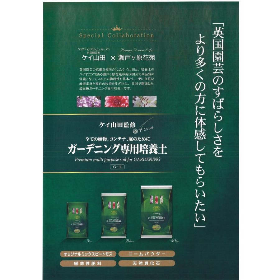 ガーデニング　ケイ山田監修　ガーデニング専用培養土　40L | ブランド登録なし | 03