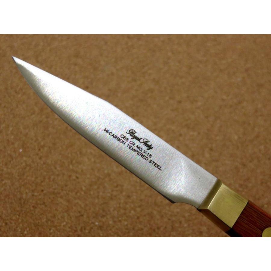 関の刃物 パーリングナイフ 10cm (100mm) 6Aステンレス 真鍮口金付き 果物の皮を剥く 種子の除去 両刃の小型包丁 日本製 在庫処分品  :th-rw-paring:エクセレントサービス - 通販 - Yahoo!ショッピング