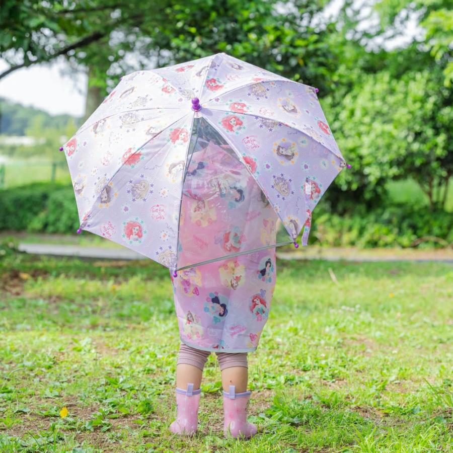 ディズニープリンセス スケーター 子供 傘 45cm 手開き 透明窓付