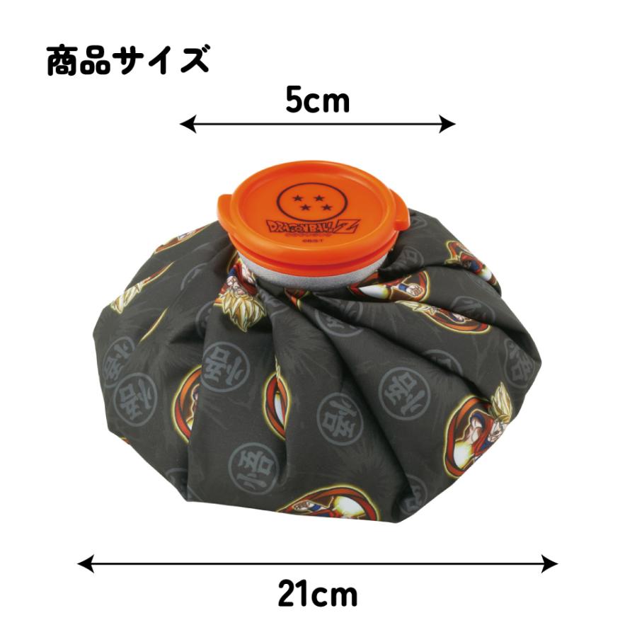 スケーター 氷嚢 氷のう Mサイズ 直径約20cm アイスバッグ アイス