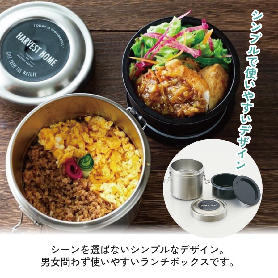 スタジオジブリ スケーター 抗菌 真空 保温 弁当箱 総 容量 600ml 保温