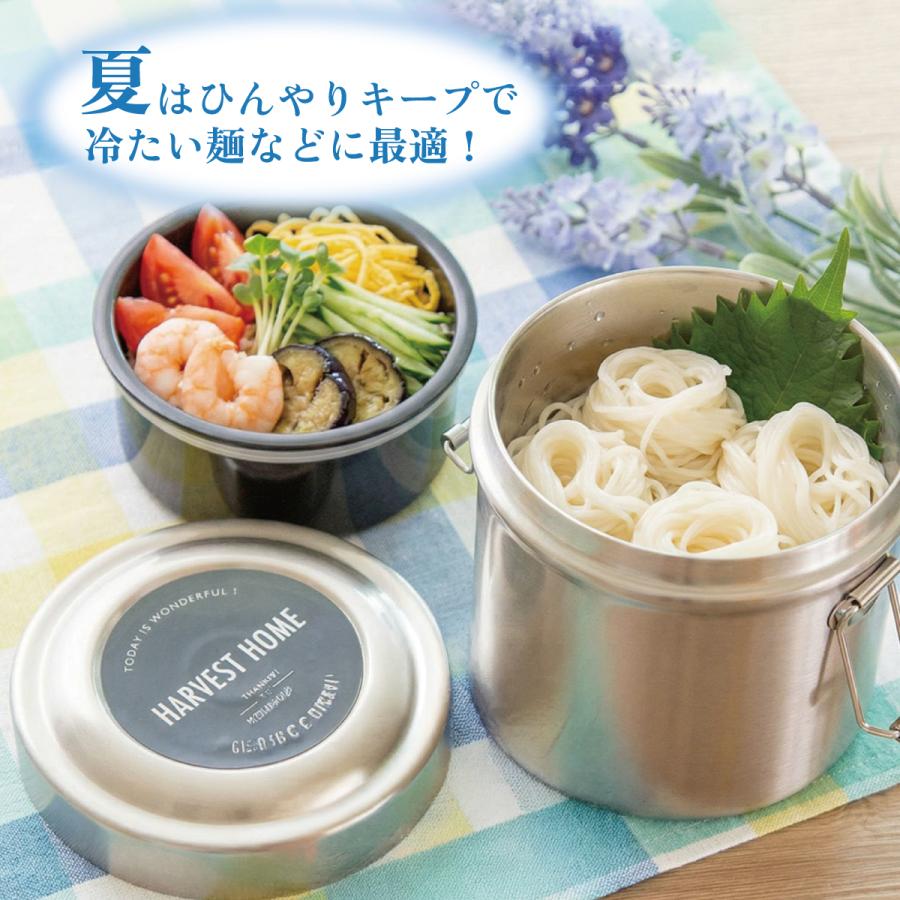 スタジオジブリ スケーター 抗菌 真空 保温 弁当箱 総 容量 600ml 保温