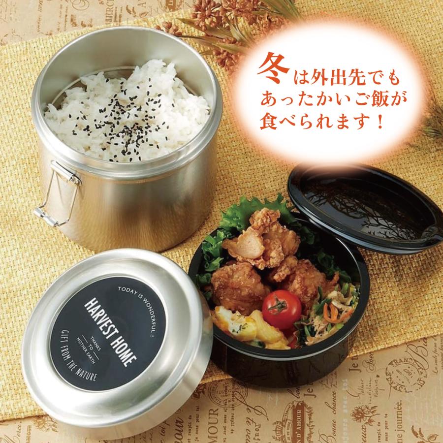 スタジオジブリ スケーター 抗菌 真空 保温 弁当箱 総 容量 600ml 保温
