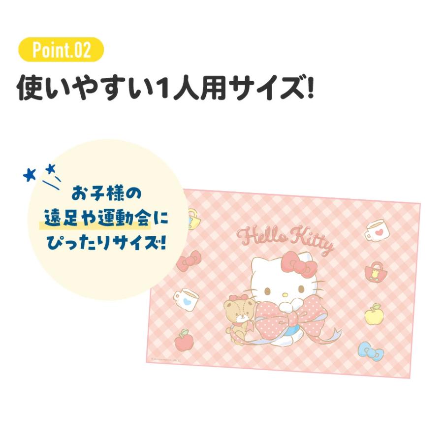 sanrio（サンリオ） スケーター レジャーシート ピクニックシート 子供