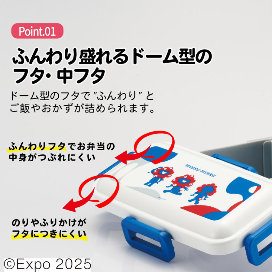 スケーター 弁当箱 大人 一段 仕切り 食洗機 レンジ対応 日本製 容量