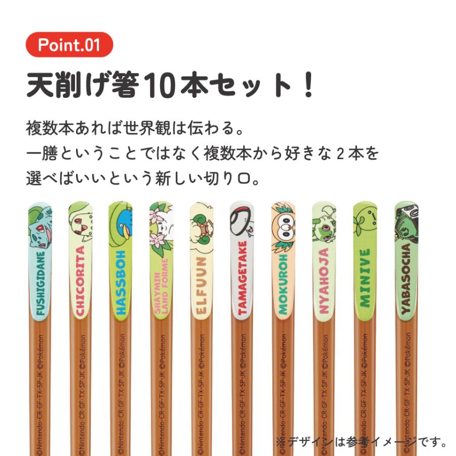 スケーター 天削げ 箸 10本入り セット お箸 天削 大人 21cm