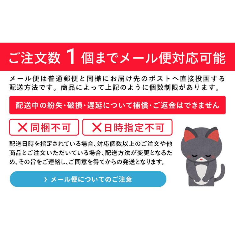 スケーター 天削げ 箸 10本入り セット お箸 天削 大人 21cm