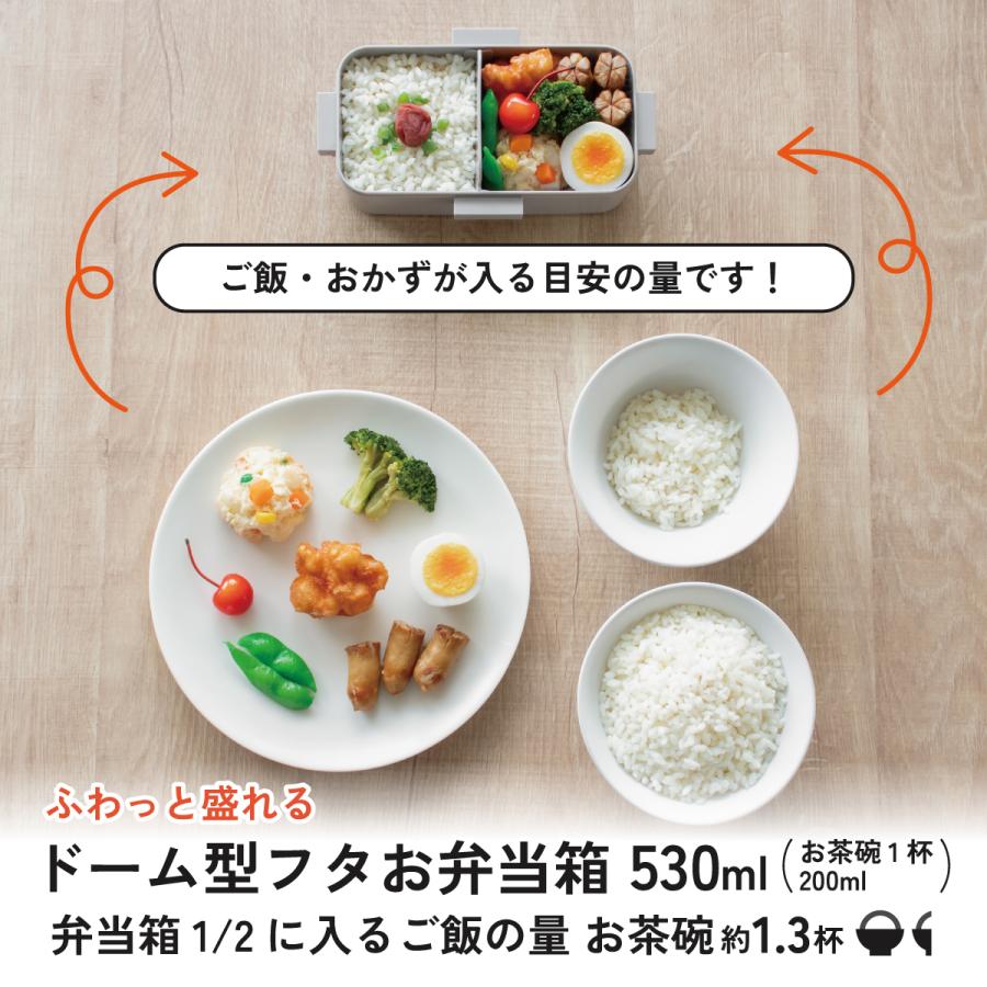 スケーター 弁当箱 530ml 大人 一段 仕切り 食洗機 レンジ 対応 日本製