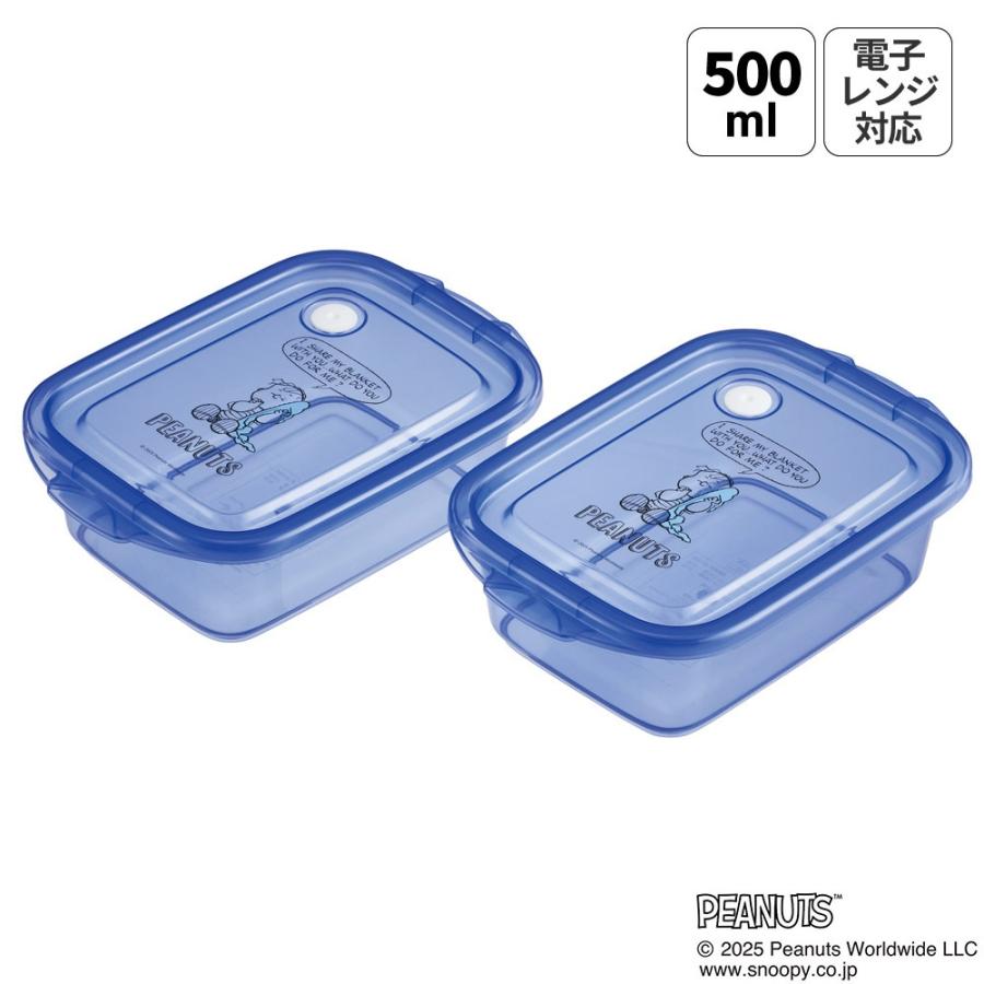 豆腐の容器 青い四角形プラスチック保存容器セット スケーター 保存容器 弁当箱 フードコンテナ シールボックス 2個セット