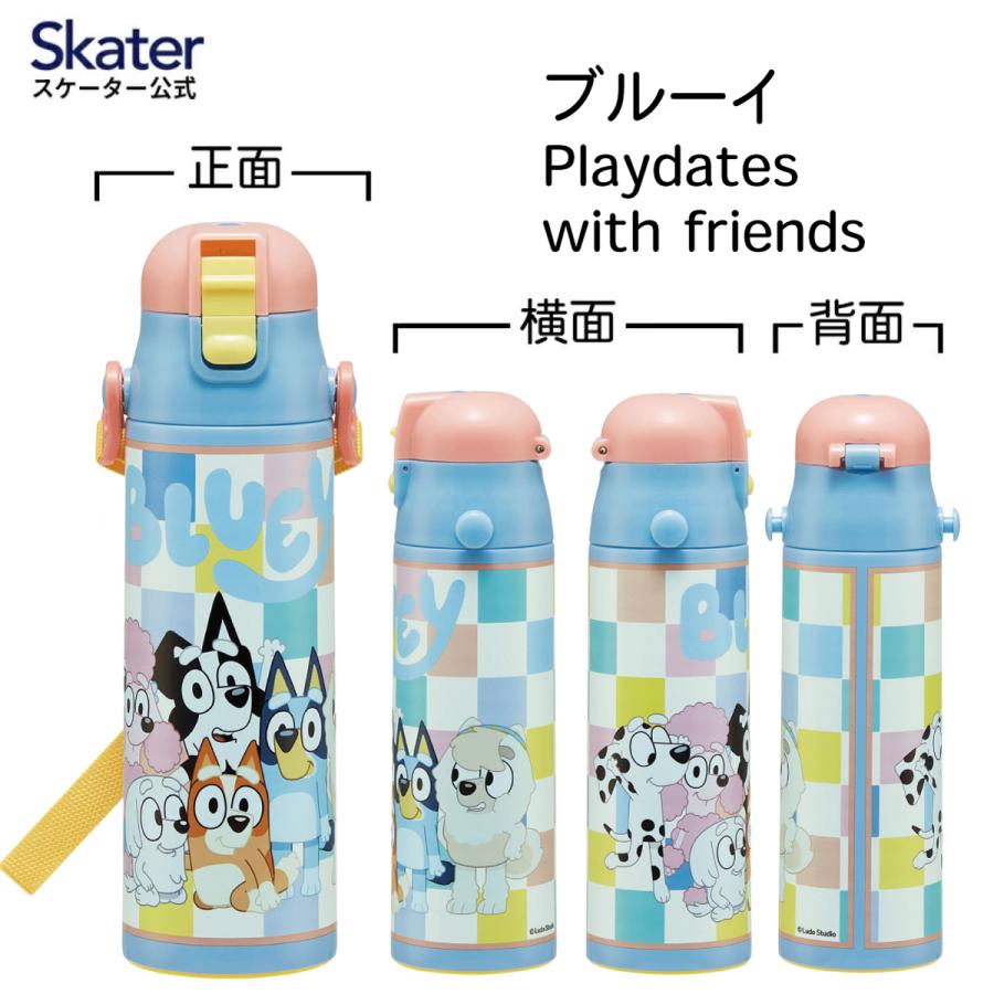 スケーター 水筒 子供 580ml 直飲み ダイレクト キッズ ステンレス