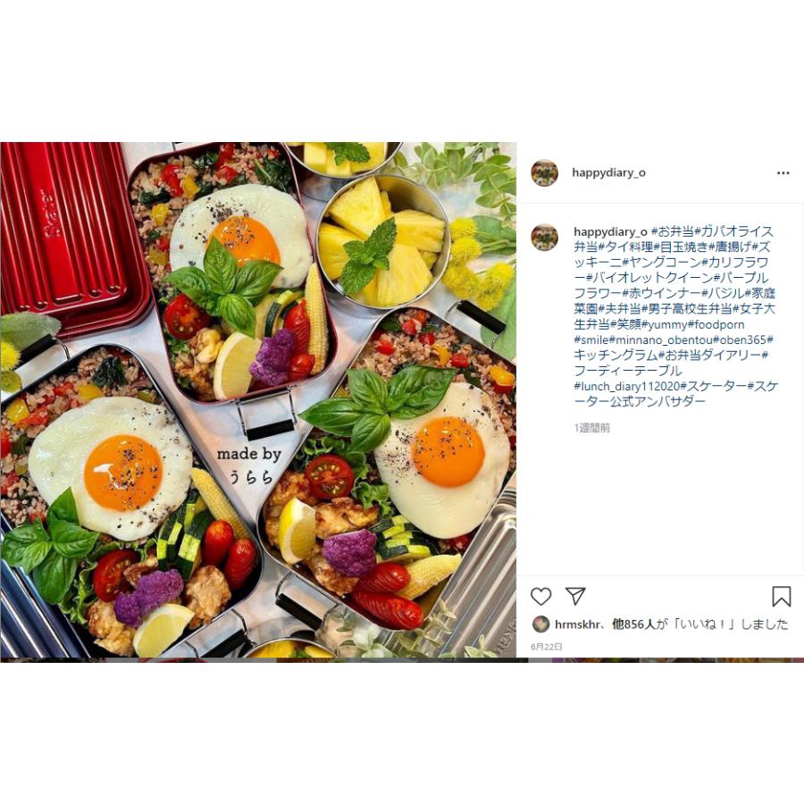 アルミ 弁当箱 1段 600ml お弁当箱 一段 ランチボックス アルミ弁当 大人 男子 男 シンプル シルバー レッド 赤 スケーター AFT6B | スケーター | 07