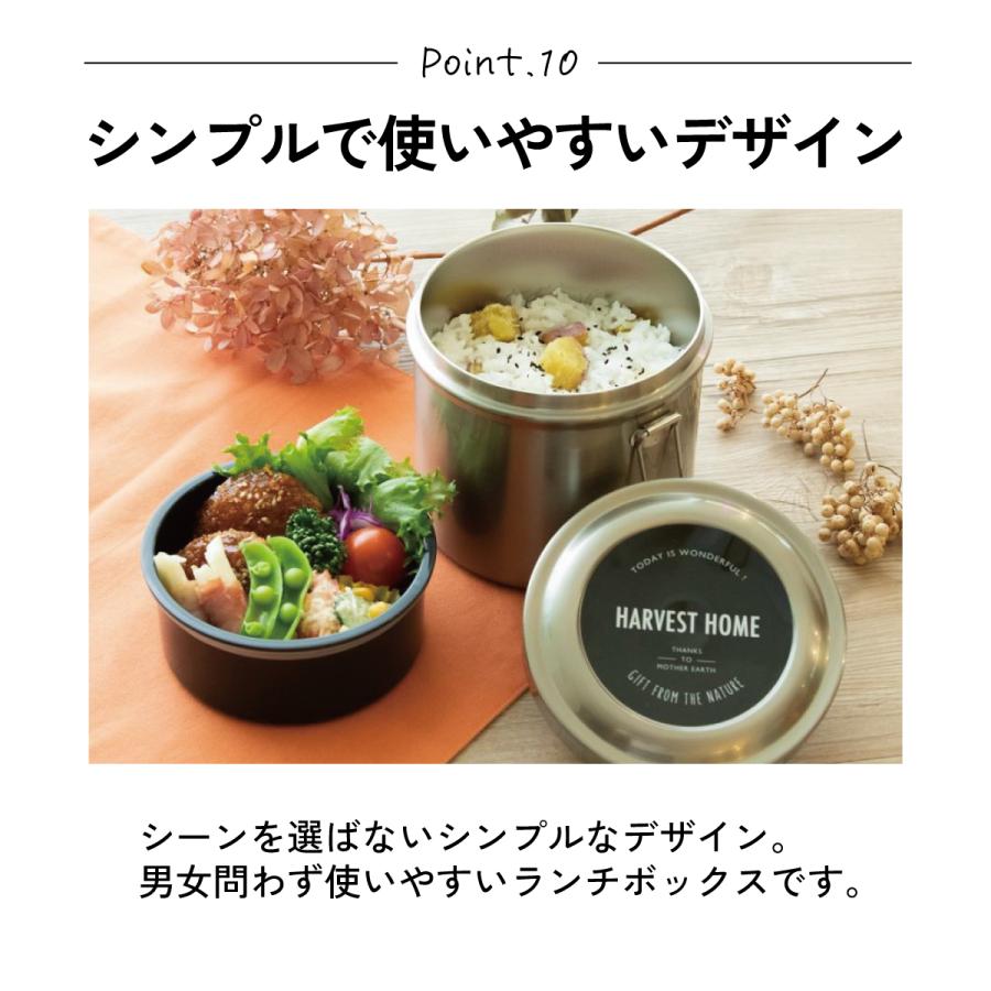 スタジオジブリ スケーター 抗菌 保温 弁当箱 真空 ステンレス ランチ
