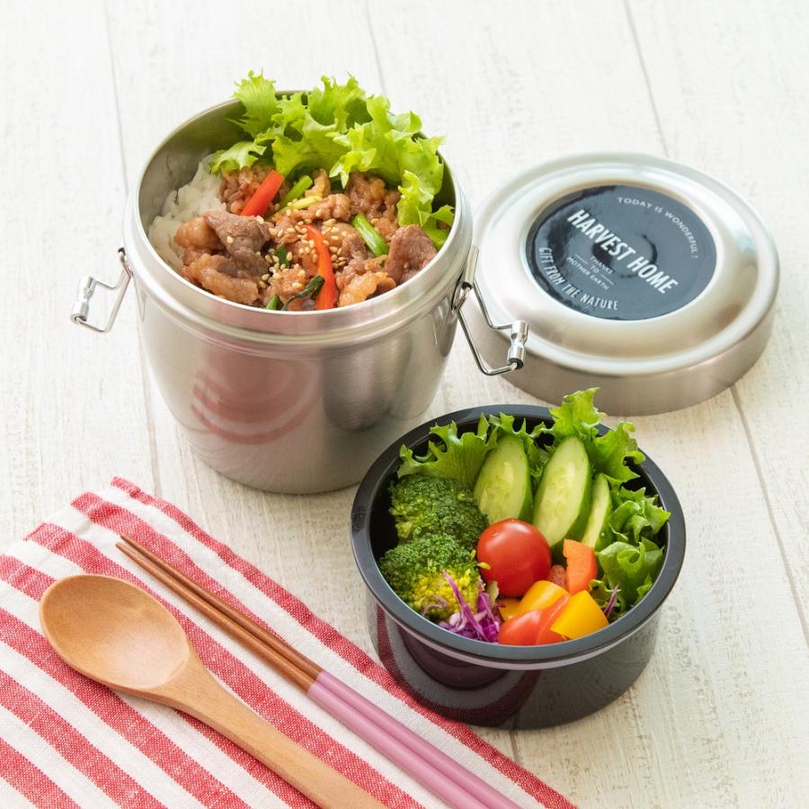 スケーター 真空 保温 弁当箱 総 容量 550ml どんぶり 型 丼ぶり 丼