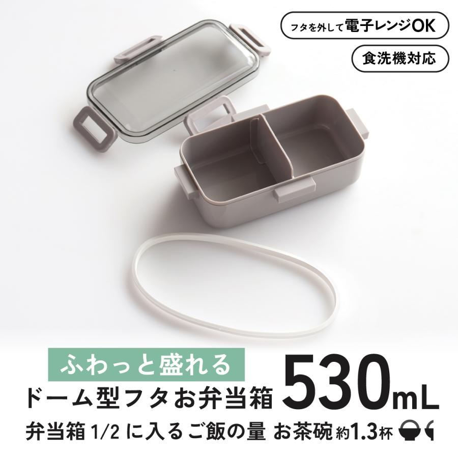 スケーター 弁当箱 530ml 1段 食洗機 レンジ対応 日本製 4点ロック