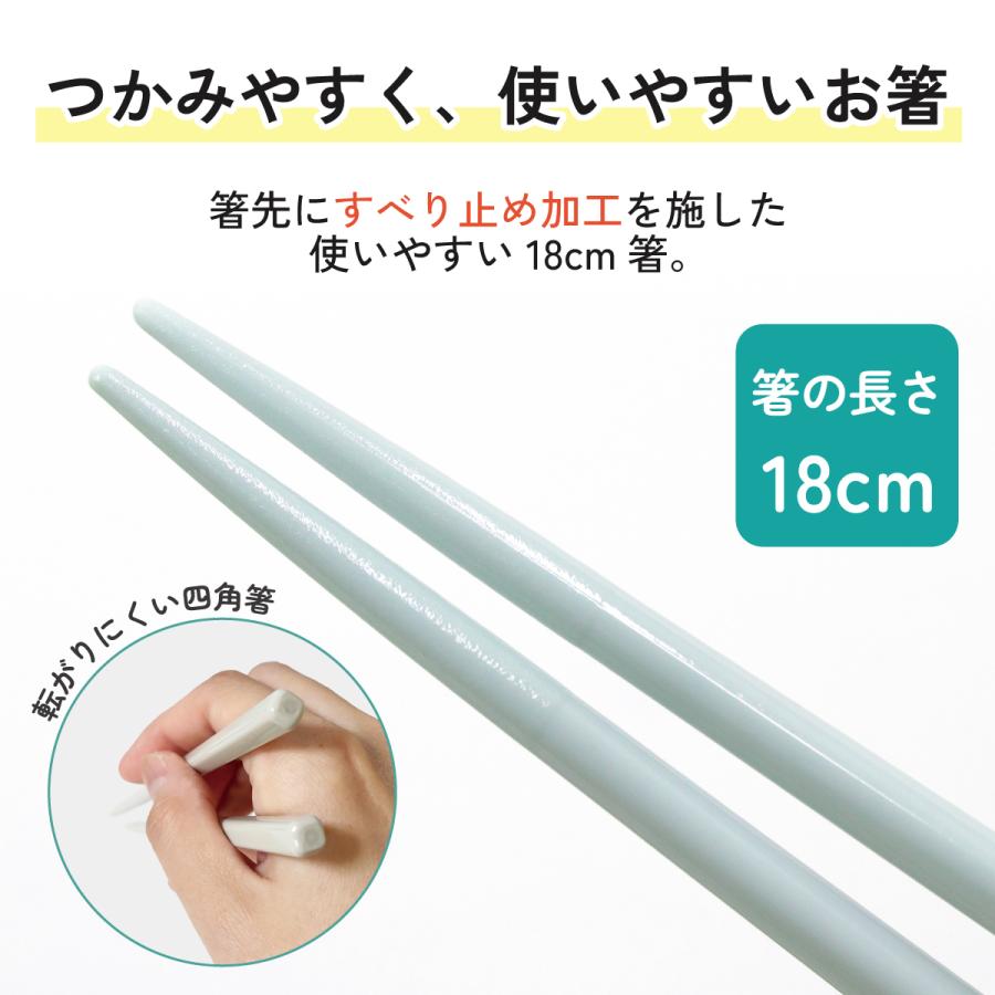 スケーター スプーン フォーク 箸 セット 食器 食洗機対応 お弁当 大人