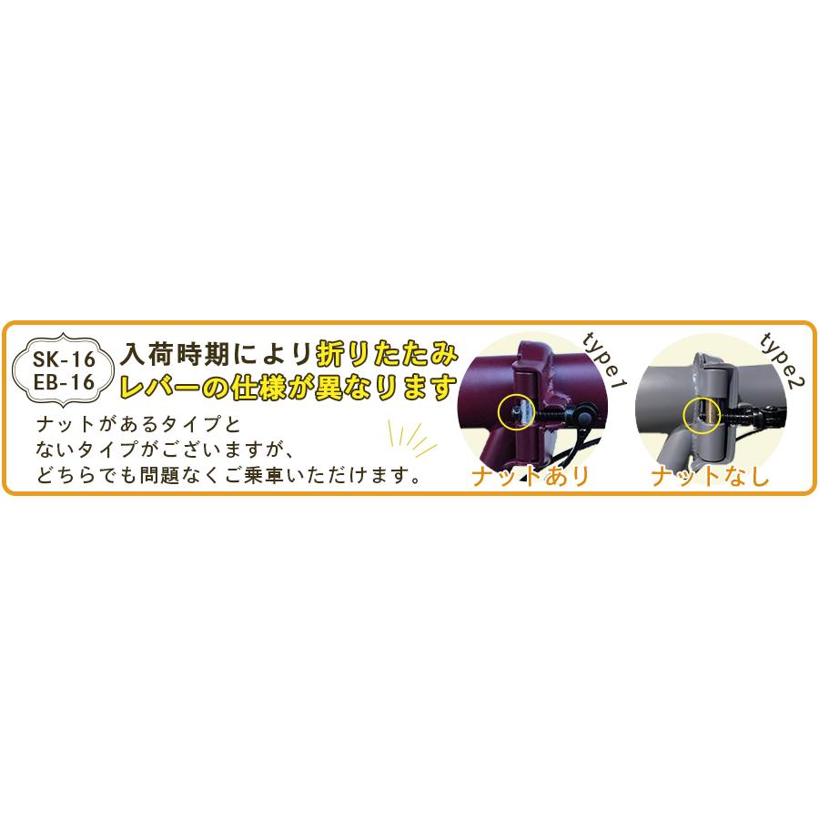 アイジュサイクル AIJYUCYCLE 折りたたみ自転車 16インチ 軽量