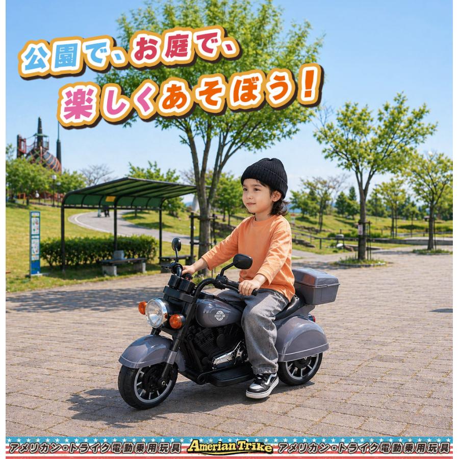 AIJYU TOYS（アイジュトイズ） 【リニューアル商品】AIJYUTOYS 乗用