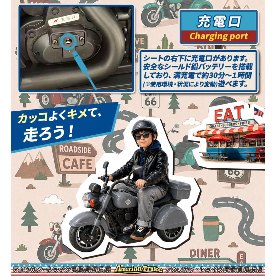 AIJYU TOYS（アイジュトイズ） 【リニューアル商品】AIJYUTOYS 乗用