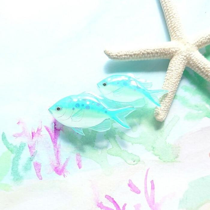 デバスズメダイ ブローチ スズメダイ 海の生き物 熱帯魚 魚 かわいい おしゃれ キラキラ ハンドメイド レディース 留め具 アクセサリー Ng016 透明屋パク 通販 Yahoo ショッピング