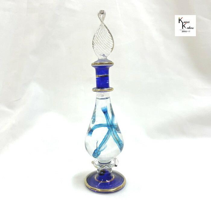 透明標本 クレオパトラ 即出荷 シロウオ お部屋のインテリアや骨格の観察 夏休みの自由研究に クリア スケルトン Skelton 透明瓶