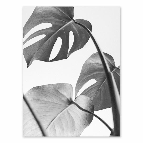 アートポスター おしゃれ ポスター 絵画 壁 北欧 モノクロシリーズ デザインno 9 A3 Ska 9 スケッチ 通販 Yahoo ショッピング