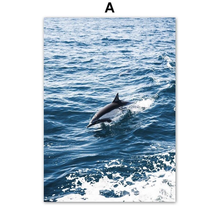 アートポスター アートパネル アートフレーム インテリア おしゃれ 絵画 海シリーズ イルカ デザインno A A3 Ska A スケッチ 通販 Yahoo ショッピング